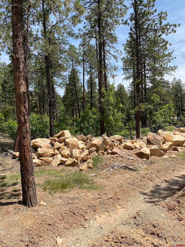 163 Boulder View Dr, Durango, CO 81301 - photo 4