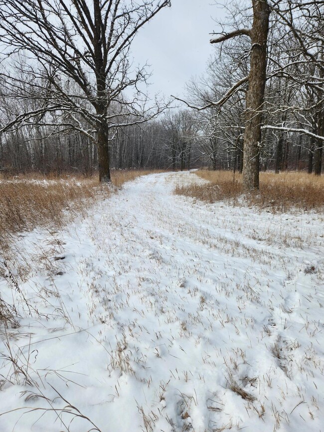 TBD 149th Ave, Sebeka, MN 56477 - photo 6