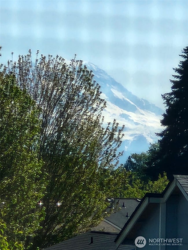 Mt Rainier View