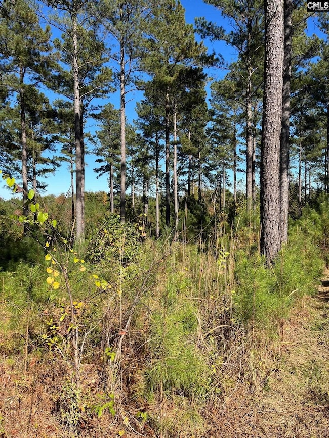 DRF 3 Dawkins Rd unit DRF 3, Pacolet, SC 29372 - photo 3