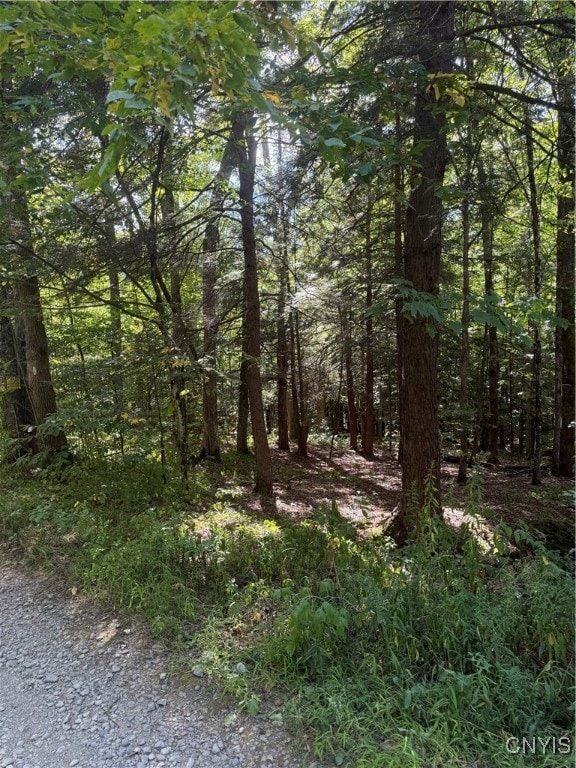 1792 Steve Russell Hill Rd, Freetown, NY 13803 - photo 6