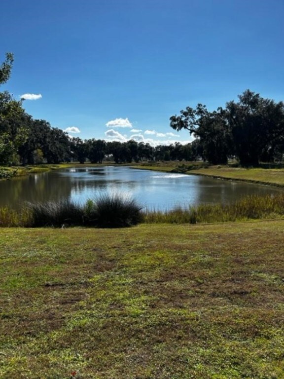 Fishing pond