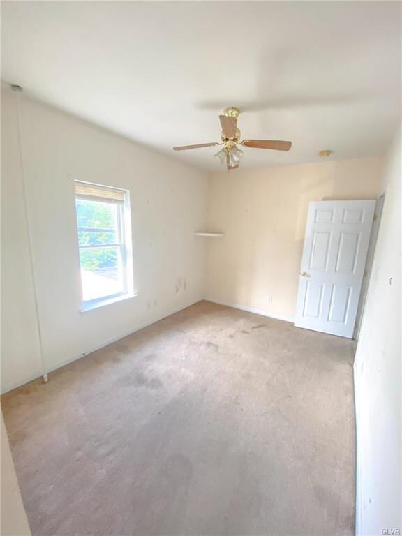 335 N Fulton St, Allentown, PA 18102 - photo 6