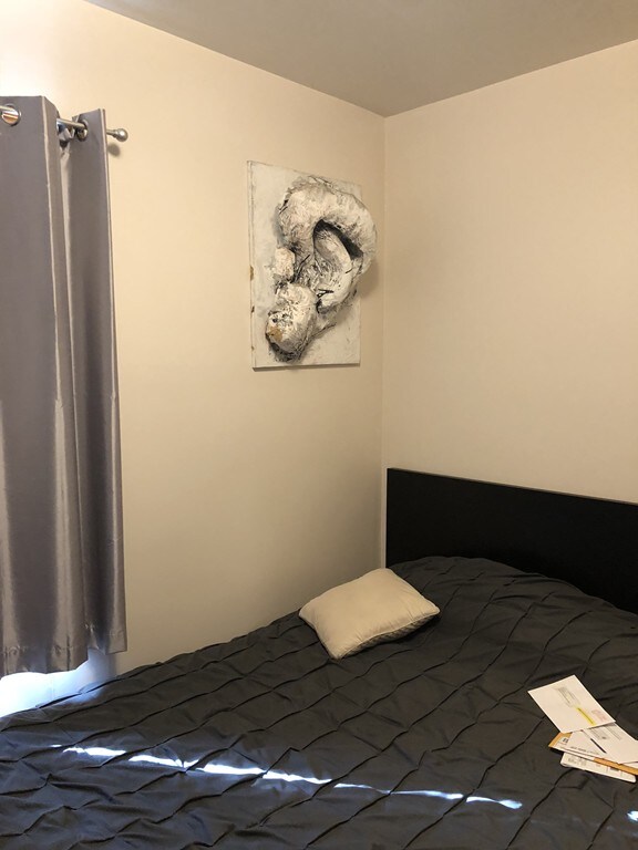 248 River St unit 1, Waltham, MA 02453 - photo 4