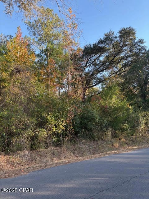 3389 Gainer Rd, Chipley, FL 32428 - photo 2