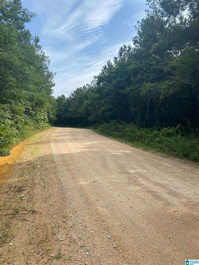 0 County Road 253 unit 10010200000008000, Clanton, AL 35046 - photo 3