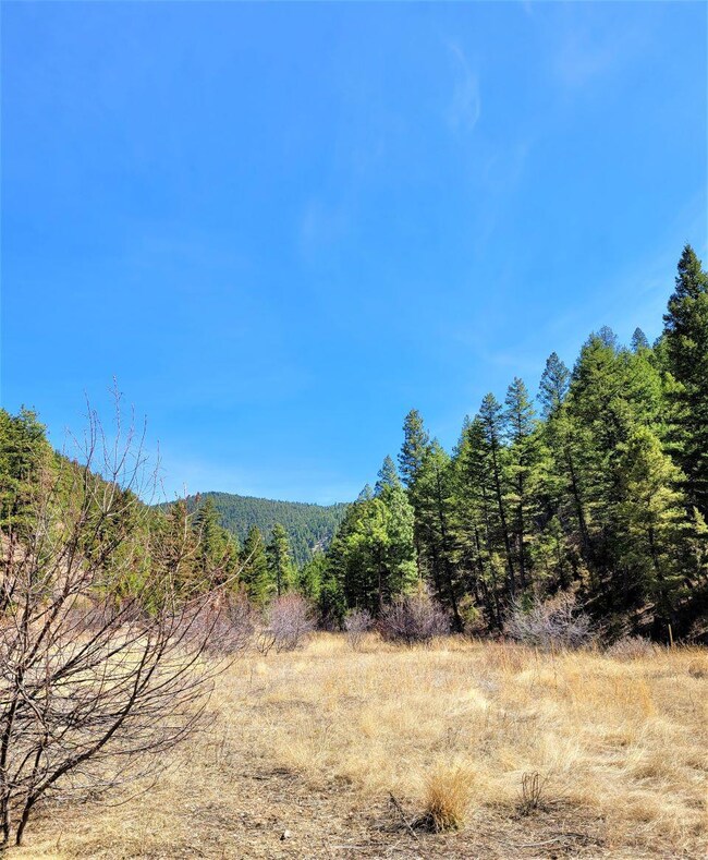 Tbd Black Bear Rd, Helena, MT 59602 - photo 3