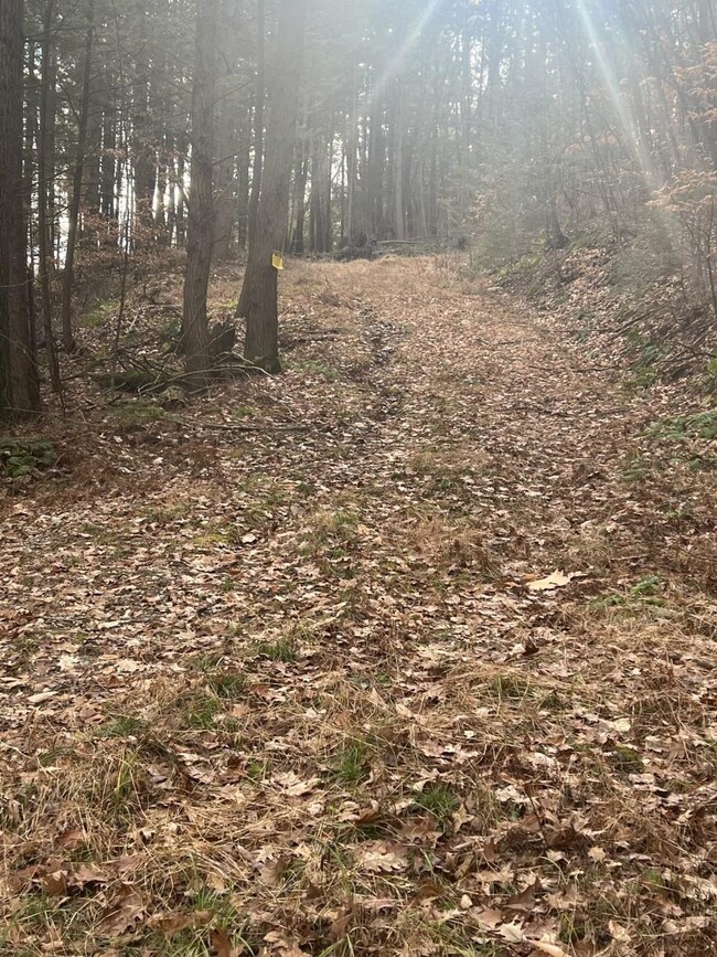 0 Westmoreland Rd, Chesterfield, NH 03462 - photo 3