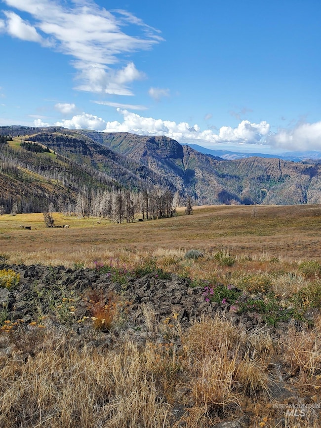 00 Cuddy Mountain Mineral Land, Cambridge, ID 83610 - photo 2