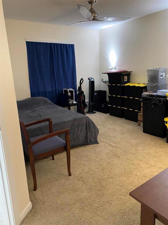 1GINO BAY SALE BED