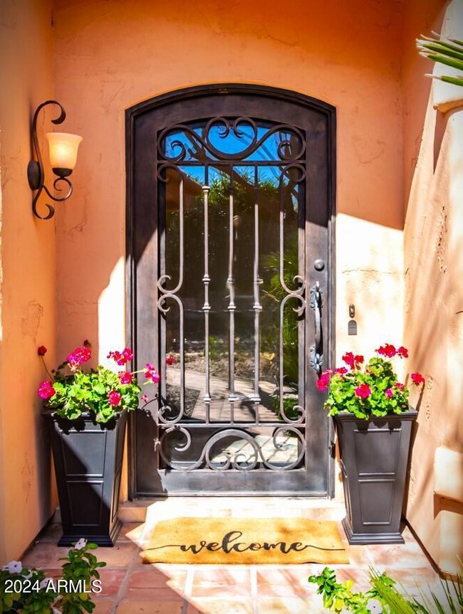 CustomSteelandGlassIronFrontDoor