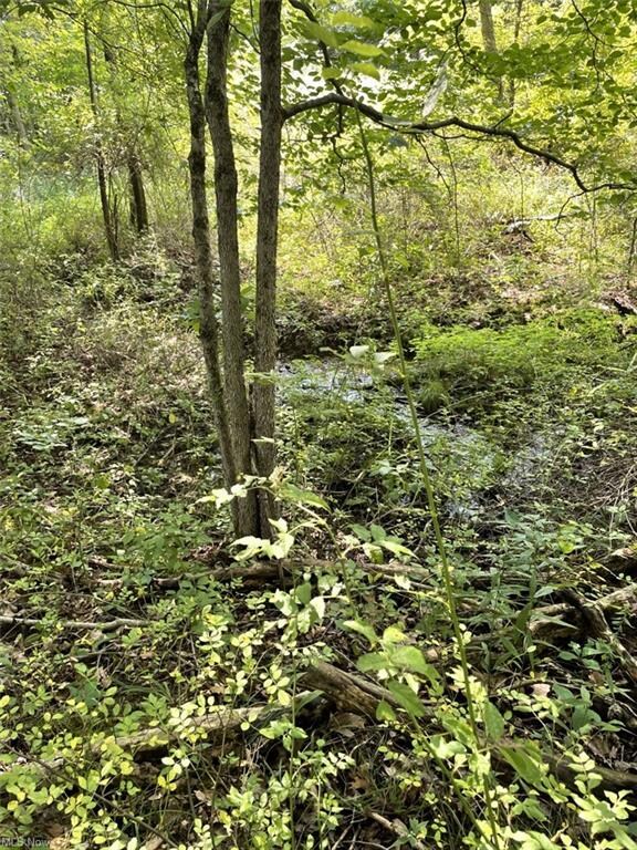 0 Ohio 45, Wellsville, OH 43968 - photo 5