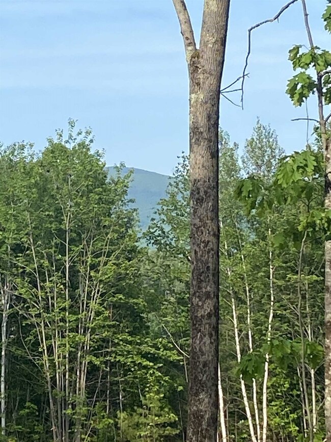 29 High Meadow Rd, Moultonborough, NH 03254 - photo 2