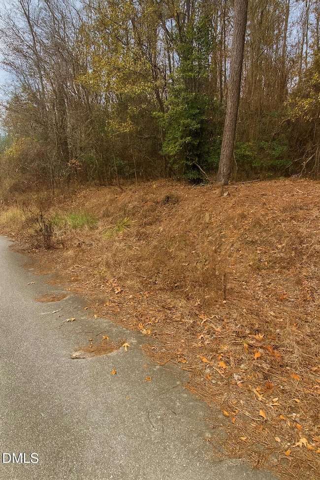 00 Russell Hogan Ln, Coats, NC 27521 - photo 4