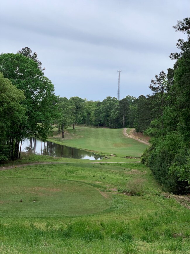 TBD Us Hwy 59 S, Nacogdoches, TX 75964 - photo 4