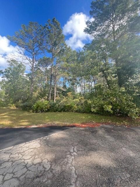 1014 Sunset Cir, Carrabelle, FL 32322 - photo 2