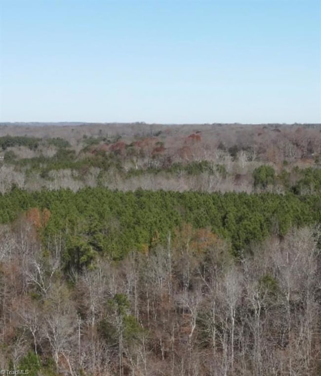 0 Flat Creek Rd, Bennett, NC 27208 - photo 3