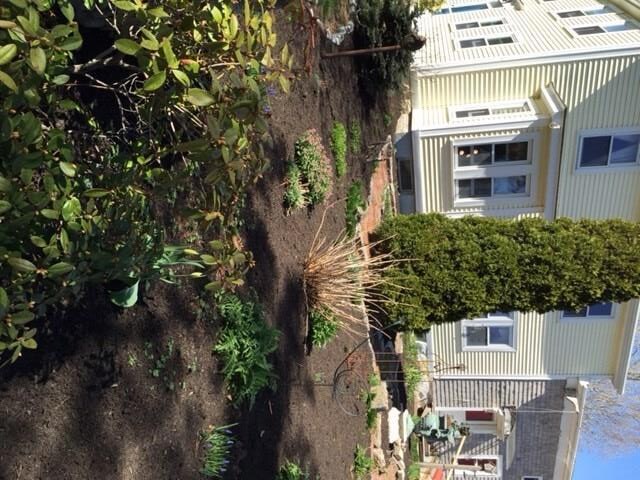 Perennial garden