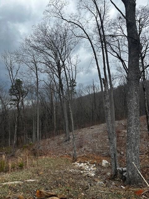 Lot 173 Shagbark Ct, Ellijay, GA 30541 - photo 7