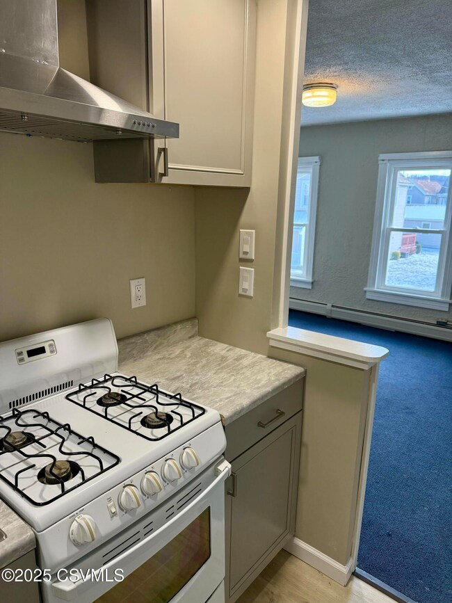 423 E 3rd St, Berwick, PA 18603 - photo 3