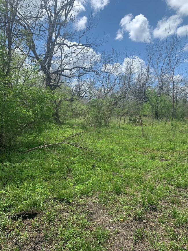 1671 County Road 310, Brazoria, TX 77422 - photo 5
