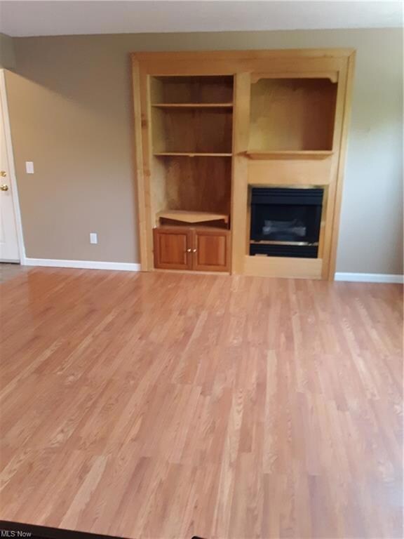 living room built-ins