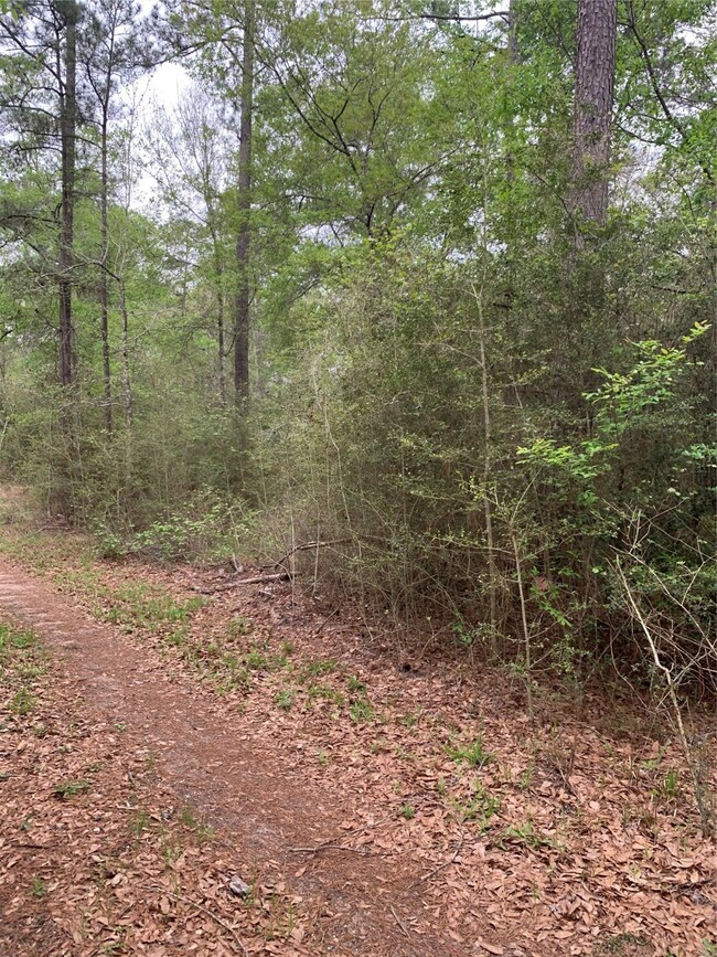 00001 Coe Loop, Magnolia, TX 77355 - photo 5