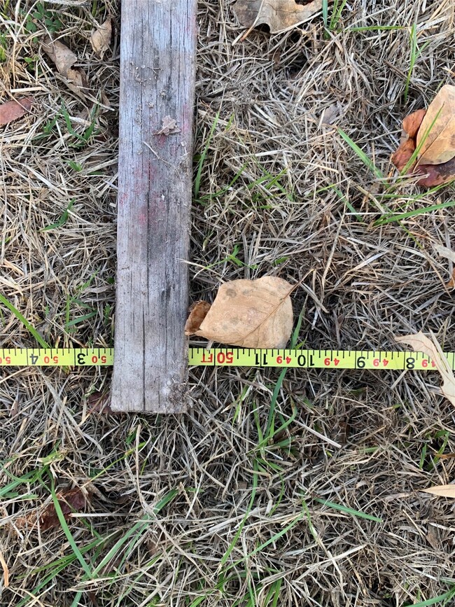 TBD Water Oak Dr, Point Blank, TX 77364 - photo 6