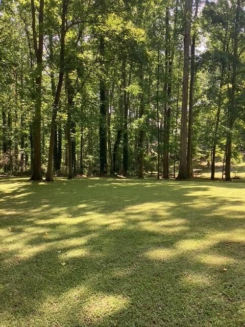 View of grassy yard
