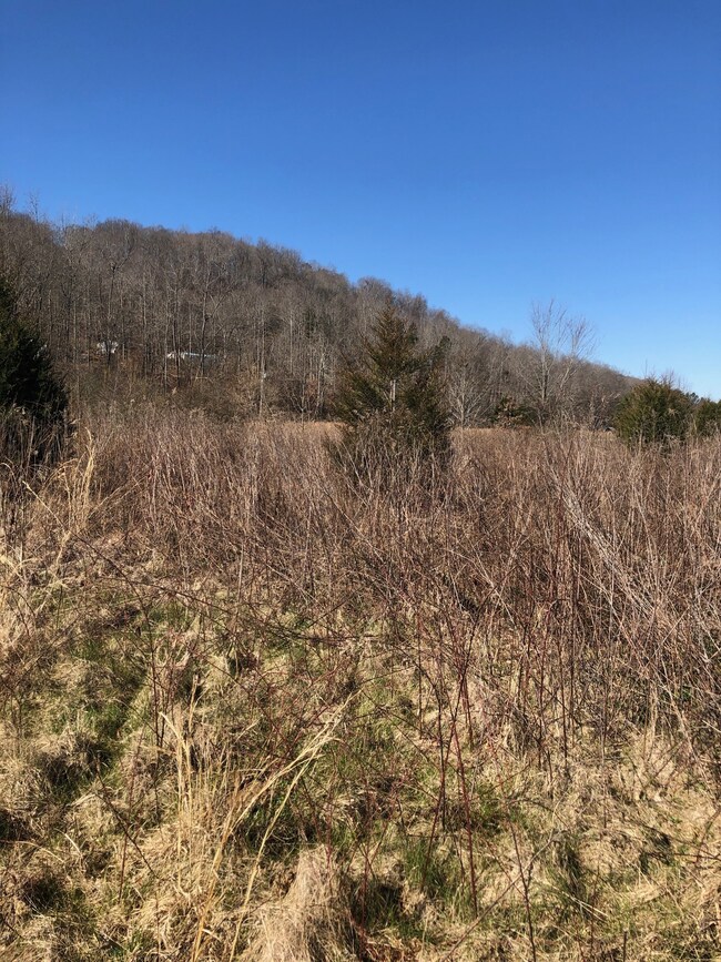 327 Field Dr, Linden, TN 37096 - photo 4