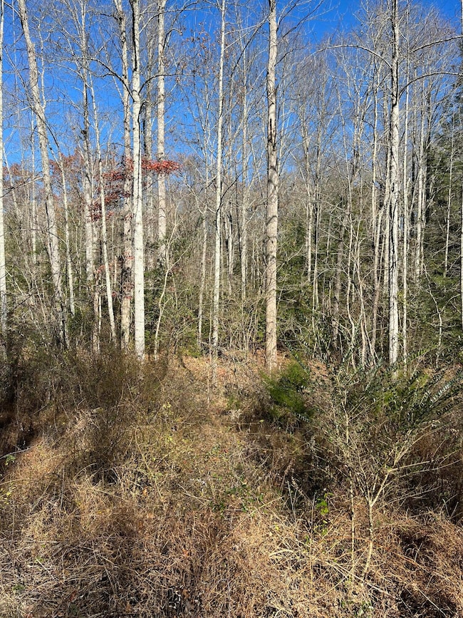 5 Hendon Rd, Graysville, TN 37338 - photo 3