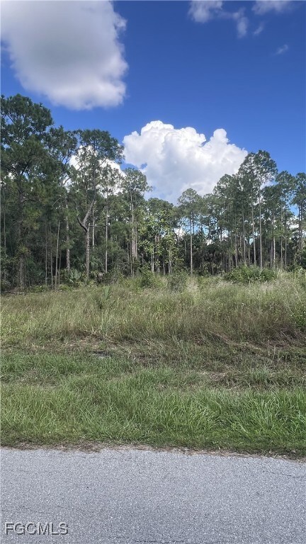 1206 Mcarthur Ave, Lehigh Acres, FL 33972 - photo 5