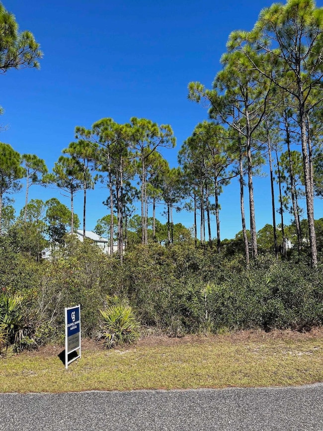 131 Lightning Bug Ln, Saint Teresa, FL 32358 - photo 2