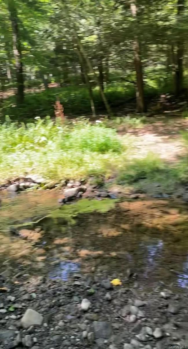 0 Hessinger and Lare Rd, Youngsville, NY 12791 - photo 6