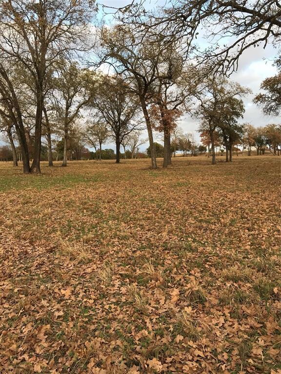 1016 Oak Bend Ln, Weatherford, TX 76088 - photo 4