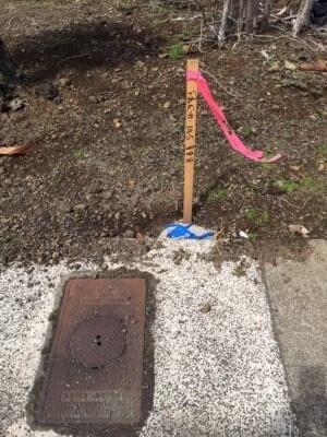 1746 Kilauea Ave, Hilo, HI 96720 - photo 3