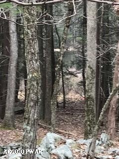 0 738 739 740 Tink Wig Dr, Lackawaxen, PA 18435 - photo 6