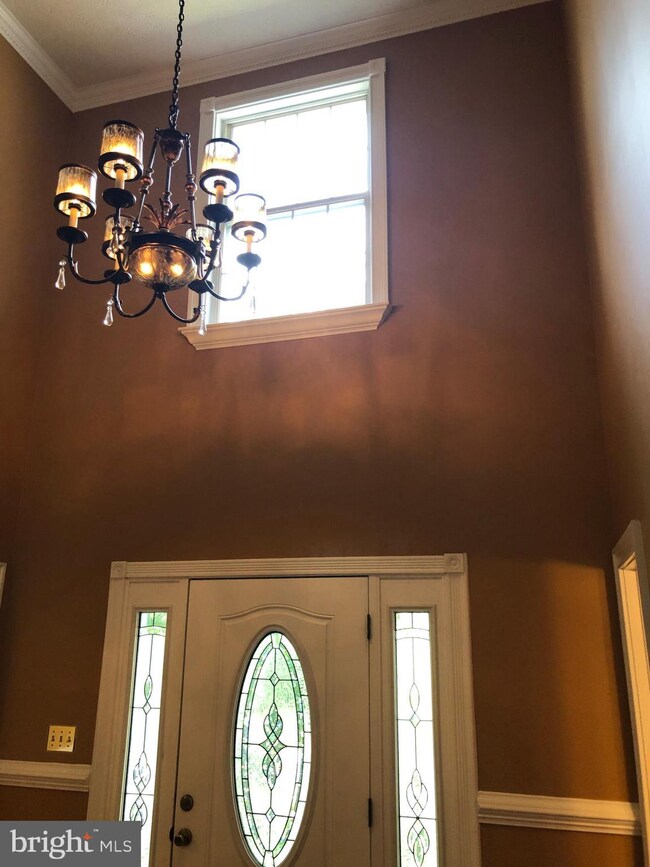 8301 Climbing Fern Ct, Bowie, MD 20715 - photo 3