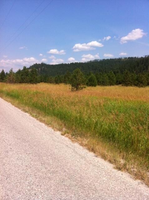 View 6