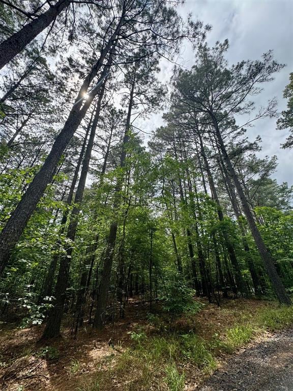 26 Mangrove Rd, Hochatown, OK 74728 - photo 4