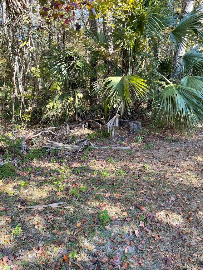 7996 Coastal Hwy, Crawfordville, FL 32327 - photo 2