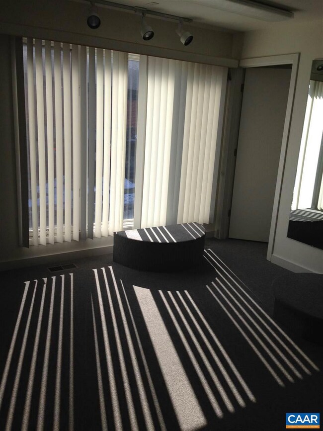 1311 Wertland St unit C, Charlottesville, VA 22903 - photo 3