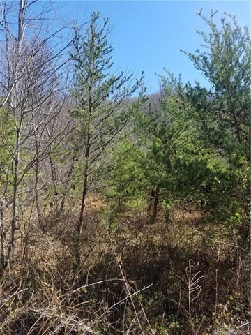 91 Balsamwood Dr unit 30, Leicester, NC 28748 - photo 2