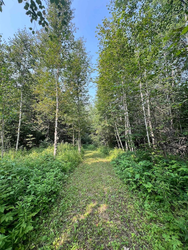 5445 Little Marais Rd, Finland, MN 55603 - photo 5