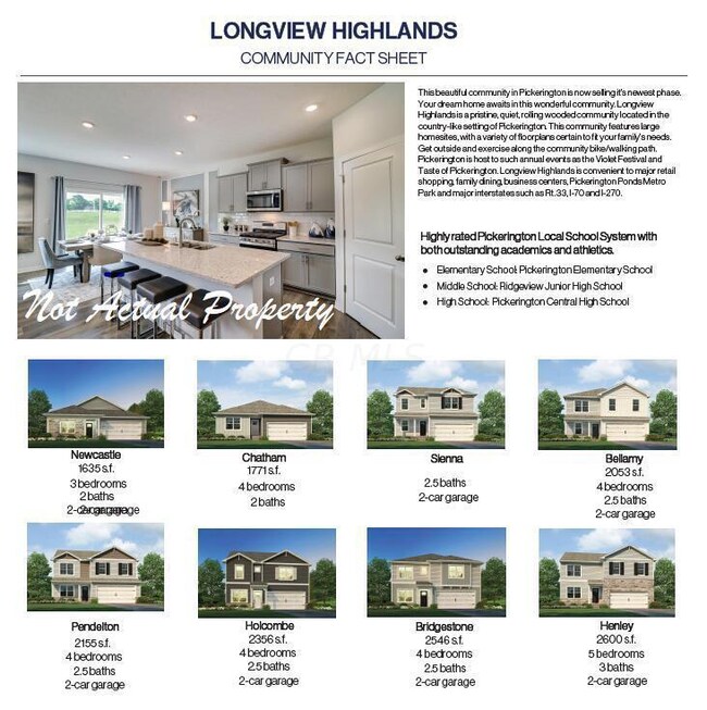 Longview Fact Sheet