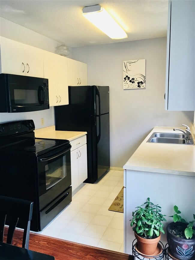 T5 Grandview Dr unit T, South Burlington, VT 05403 - photo 5