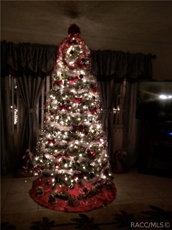 Chritmas Tree / Living Room
