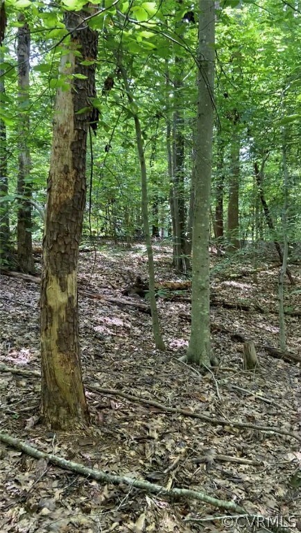 tbd Slash Pine Cir, Caroline, VA 22546 - photo 3