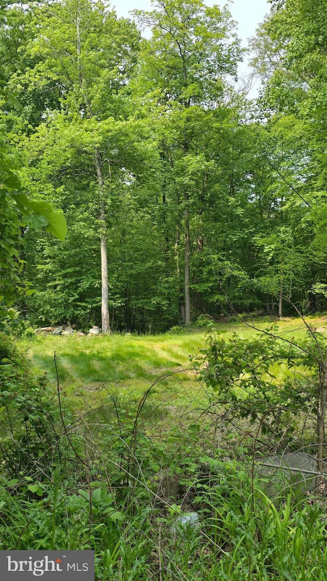 0 Ritchie Rd, Highfield-Cascade, MD 21719 - photo 7