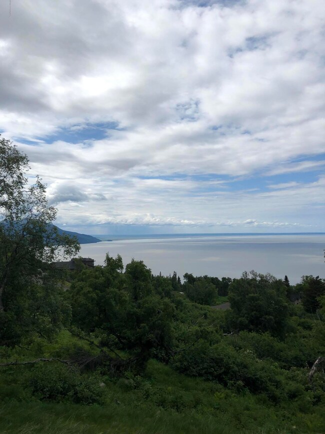 L4 B2 Potter Valley Rd, Anchorage, AK 99516 - photo 7